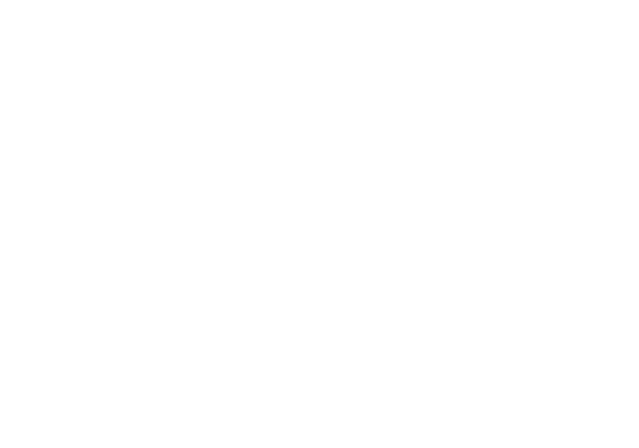 IT Bags